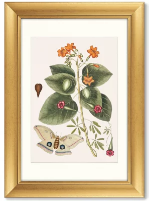 Диптих Beauty bloom 51X71 / 51X71 CM 4