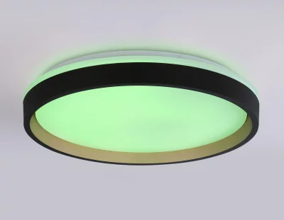 Накладной светильник Ambrella Light FZ610 16