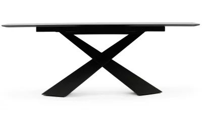 Обеденный стол Reagan 200X100X75 CM 5