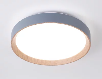 Накладной светильник Ambrella Light FZ1320 4