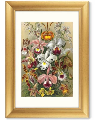 Диптих Art forms of nature 51X71 / 51X71 CM 4