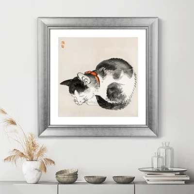 Постер Sleeping cat 61X61 CM 3