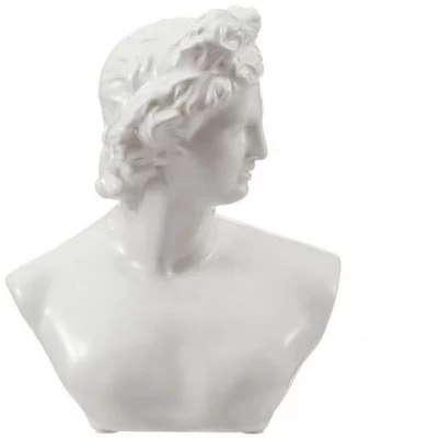 Бюст David 18X14X24 CM 5