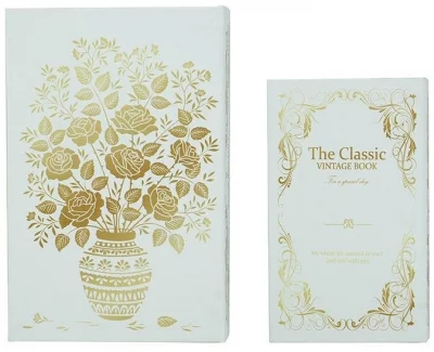 Набор из двух шкатулок в виде книг Neasa 18X7X27 / 13X5X21 CM 6