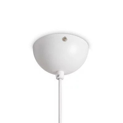 Подвесной светильник Alies FR5509PL-01W 40X40X105 CM 6