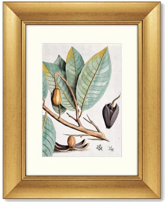 Диптих Exotic plants of the world 41X51 / 41X51 CM 4