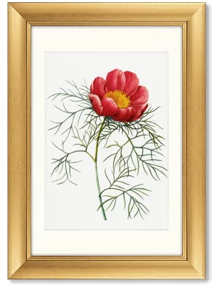 Диптих Antique plants drawn 51X71 / 51X71 CM 4