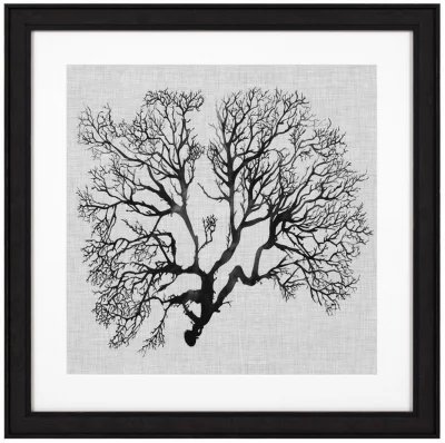 Постеры Shadow Sea Fans 62X62 / 62X62 / 62X62 / 62X62 CM 5