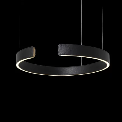 Подвесной светодиодный светильник Ring 40X40X60 CM 4