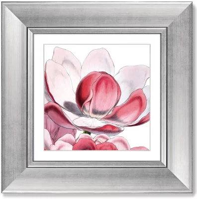 Четыре постера Himalaya Plants Pink-Flower 36X36 / 36X36 / 36X36 / 36X36 CM 4