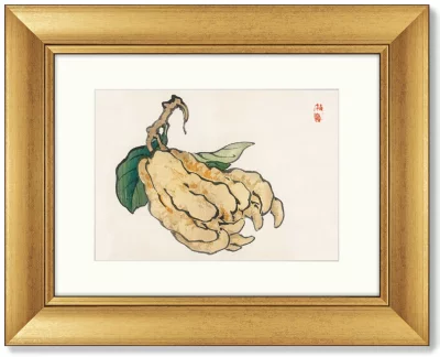 Набор постеров Persimmons 51X41 / 51X41 / 51X41 / 51X41 CM 5