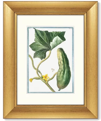 Диптих Cucumber & Melopepo 41X51 / 41X51 CM 4