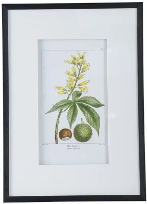 Комплект из двух постеров Flora 50X70 / 50X70 CM 11