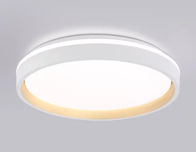 Накладной светильник Ambrella Light FZ607 13