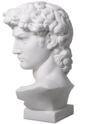 Декоративный объект Head David 42X27X66 CM 5