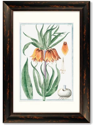 Диптих Flore pulchre rubente 51X71 / 51X71 CM 3