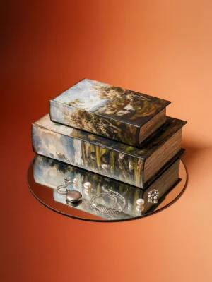 Набор из двух шкатулок в виде книг Bedivere 18X7X27 / 13X5X22 CM 9