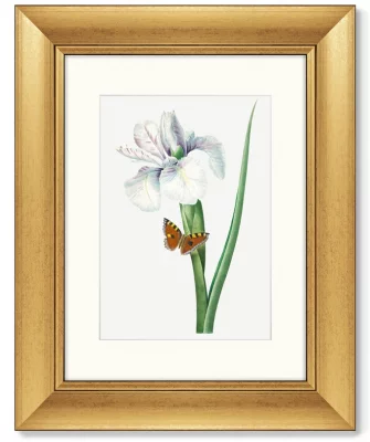 Диптих Antique plants drawn 41X51 / 41X51 CM 3