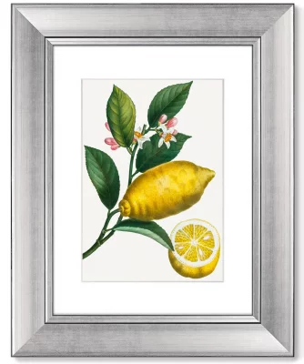 Диптих Citrus limonium 41X51 / 41X51 CM 4