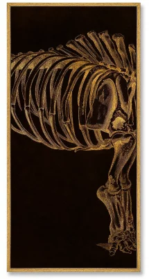 Триптих на холстеMamoth 52X105 / 52X105 / 52X105 CM 4