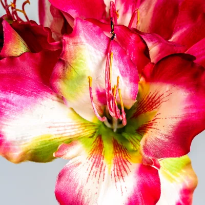 Цветок искусственный Amaryllis 73 CM 3