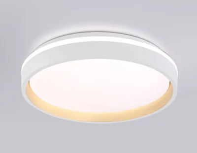 Накладной светильник Ambrella Light FZ601 13