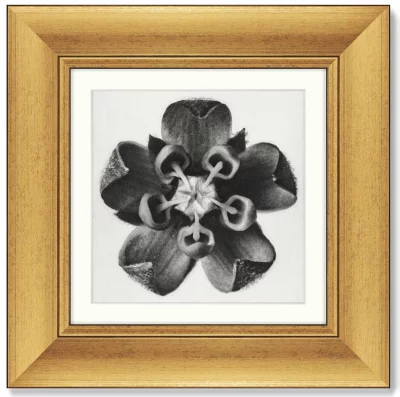 Набор постеров Lime Mallow 36X36 / 36X36 / 36X36 / 36X36 CM 3