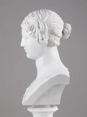 Фигурка Bust 19X16X37 CM 7