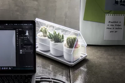 Лоток для выращивания растений Micro green house 24X11X14 CM 8