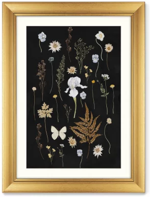 Диптих Flower herbarium No2 61X81 / 61X81 CM 3