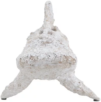 Декор настольный Coral Shark 50X20X19 CM 6