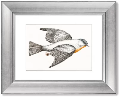 Диптих Gray Fluff Tits 51X41 / 51X41 CM 3