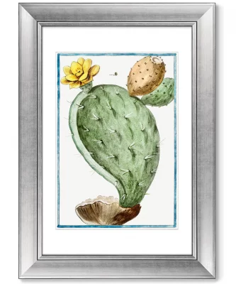 Диптих Semaphore Prickly Pear 51X71 / 51X71 CM 3