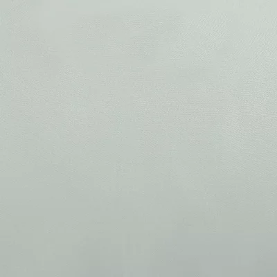 Набор из двух сатиновых наволочек Wild 70X70 CM мятного цвета 3