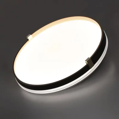 Накладной светильник Olidi Black 5