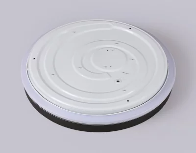Накладной светильник Ambrella Light FZ604 10