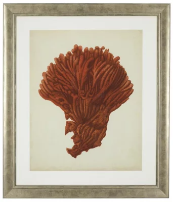 Постеры Antique Red Corals 68X58 / 68X58 / 68X58 / 68X58 / 68X58 / 68X58 CM 8