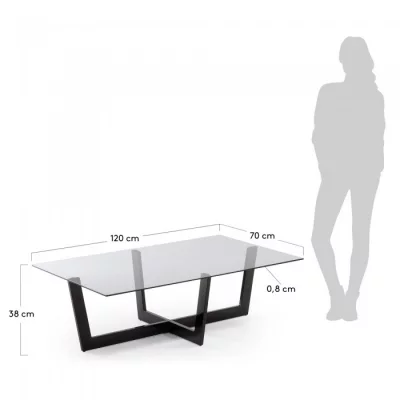 Журнальный столик Plam 120X70X38 CM черный 4