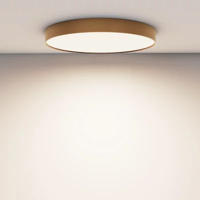 Потолочный светодиодный светильник Зон 60X60X6 CM 6