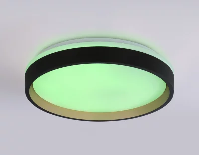 Накладной светильник Ambrella Light FZ604 16
