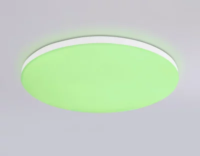 Накладной светильник Ambrella Light FZ2001 8