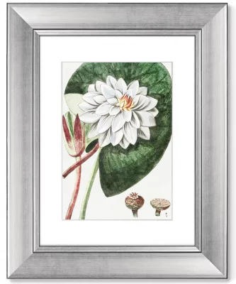 Диптих Peony 41X51 / 41X51 CM 4