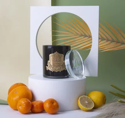 Ароматическая свеча Persian Lime 100 часов горения 3