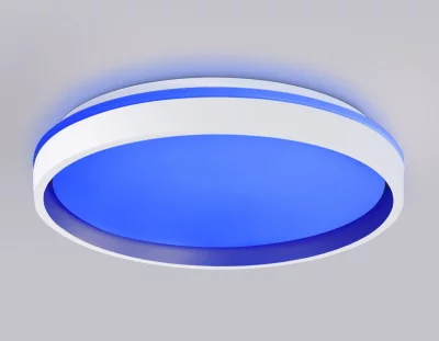 Накладной светильник Ambrella Light FZ607 4