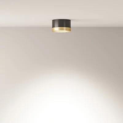 Потолочный точечный накладной светильник Обруч 8X5 CM 3