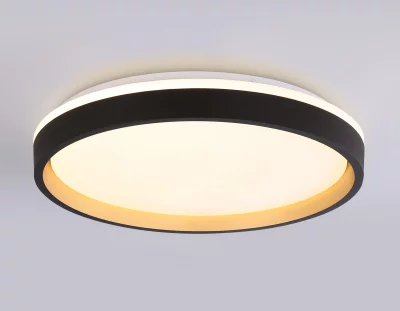 Накладной светильник Ambrella Light FZ610 14