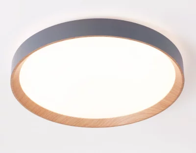 Накладной светильник Ambrella Light FZ1322 4