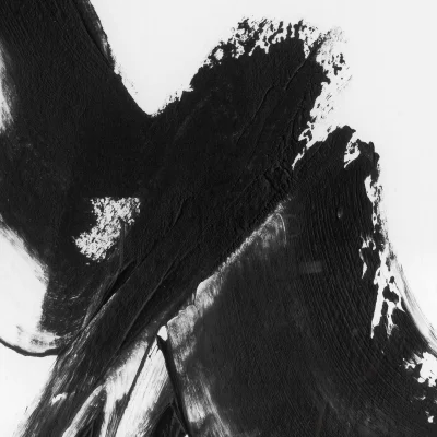 Диптих Black Expression 94X115 / 94X115 CM 5