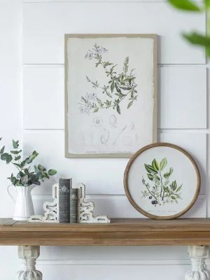 Комплект из четырёх панно Flora Ø50 CM 20