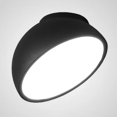 Накладной светильник Selden 6